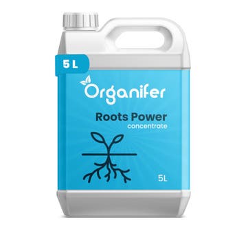 Wortelstimulator - Roots Power Concentraat - 5 liter, Verzenden, Mest