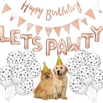 Verjaardags set voor de hond  Goud, Dieren en Toebehoren, Ophalen of Verzenden, Nieuw