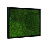 Vintlux Mosschilderij Lappenmos 40x60 cm Zwart, Nieuw