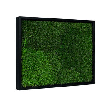 Vintlux Mosschilderij Lappenmos 40x60 cm Zwart, Huis en Inrichting, Woonaccessoires | Wanddecoraties, Nieuw