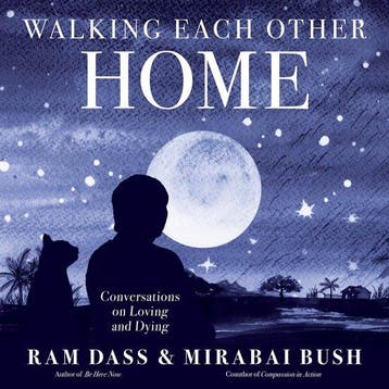 9781683649427 Walking Each Other Home: Conversations on L..., Boeken, Verzenden, Nieuw, Ram Dass