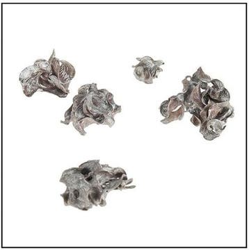 Curly Pods Antique Zilver-Wash 50 gram kleinverpakking, Ophalen of Verzenden, Nieuw
