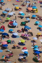 Gilliard Bressan - Beach Mosaic - XL