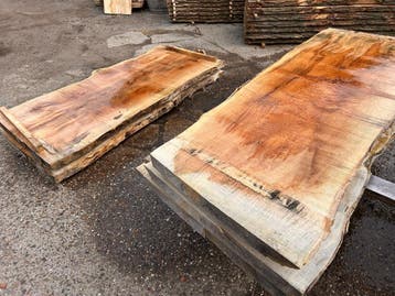 5X Boomstambladen, esdoorn, complete partij 620,- REF 787A, Nieuw, Ophalen of Verzenden, 200 tot 250 cm, Plank