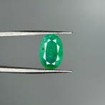 Zonder minimumprijs Groen Smaragd - 2.71 ct - International, Nieuw
