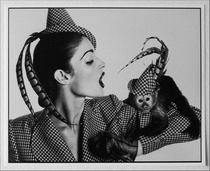 Richard Avedon (1923–2004) - American model Stephanie, Antiek en Kunst, Kunst | Designobjecten