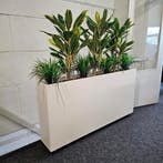 Vrijstaande of verrijdbare plantenbak Divide XL, 90x166x3..., Ophalen of Verzenden, Overige soorten, 150 tot 200 cm