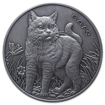 Fiji Cats 5 oz 2022 Antique Finish (500 oplage), Verzenden, Losse munt, Zilver