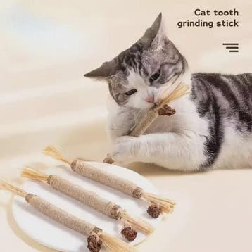 Natuurlijke Zilverrank Tandenknarsstaaf voor Katten - Speelg