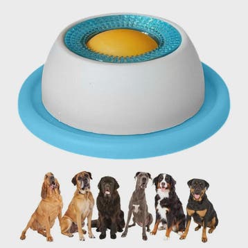 Interactieve Hondenspeeltje Voerpuzzel - Slow Feeder voor Me, Verzenden, Nieuw