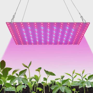 Krachtige LED Plantengroeilamp Full Spectrum 81/169 LEDs voo, Verzenden, Nieuw