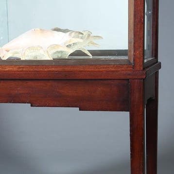 Art Deco vitrinekast in mahonie met contrasterende essenhout, Ophalen of Verzenden