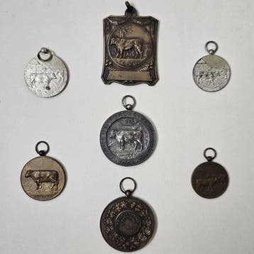 Nederland. 7 stuks Prijspenningen Fokdag 1929, 1930, 1931,