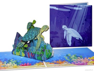 Schildpad moeder met 2 kleintjes | Zeeschildpad pop-up kaart, Verzenden, Nieuw
