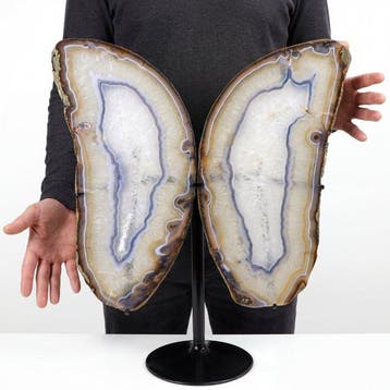 Museumstuk - Regenboogagaat - 60×50×22 cm - vlinder- 6.67 kg