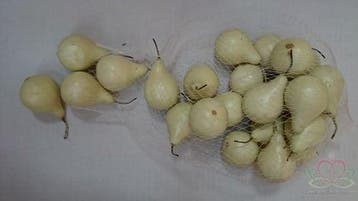 Kalebasjes kunst Creme peertjes ca. 5 cm 20–25 stuks, Ophalen of Verzenden, Nieuw