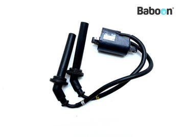 Bobine Yamaha FZ 6 2007-2009 (FZ6 FAZER), Verzenden, Gebruikt