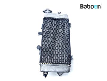 Radiateur Rechts Honda XL 1000 Varadero 2001-2002 (XL1000V, Motoren, Onderdelen | Honda, Verzenden, Gebruikt