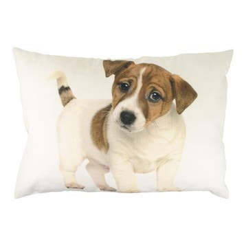 canvas kussen pup jack russel 35x50cm, Verzenden, Nieuw