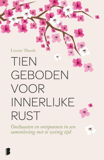 Tien geboden voor innerlijke rust - Lisette Thooft, Boeken, Verzenden, Zo goed als nieuw, Lisette Thooft