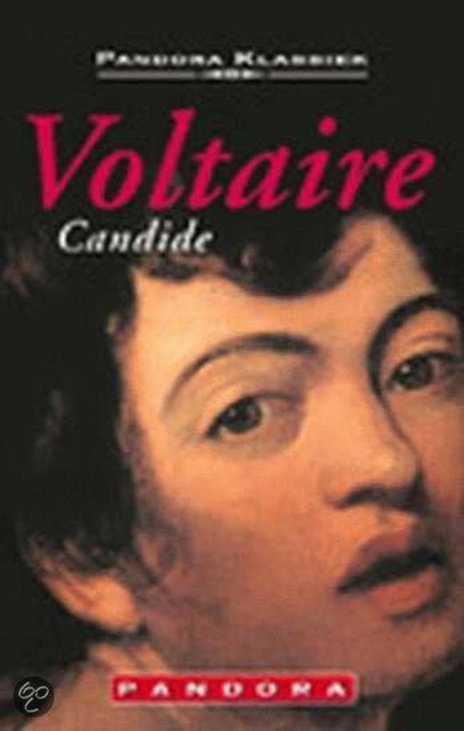 Candide / Pandora klassiek 9789025419813 Voltaire, Boeken, Romans, Gelezen, Verzenden