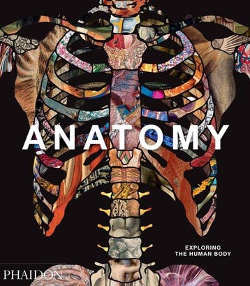 9780714879888 Anatomy: Exploring the Human Body, Boeken, Verzenden, Nieuw, Phaidon Editors