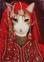 Katten Prinses, Verzenden, Nieuw