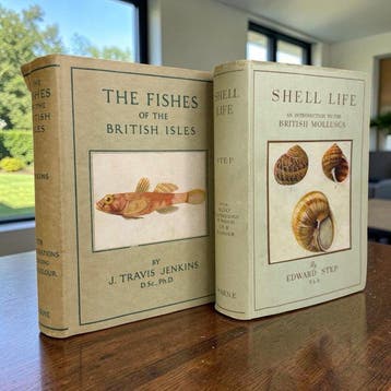 Step - Shell Life and The Fishes of The British Isles -
