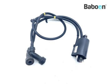 Bobine Yamaha XJ 900 S Diversion 1995-2004 (XJ900 XJ900S, Motoren, Verzenden, Gebruikt