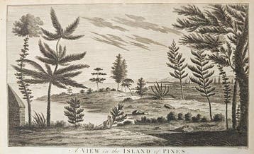 Alexander Hogg (active 1770s–1800s) - Landscape View in the, Boeken, Nieuw