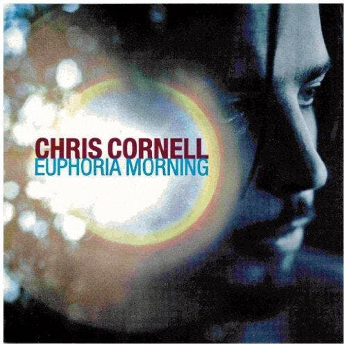 cd - Chris Cornell - Euphoria Morning, Cd's en Dvd's, Cd's | Overige Cd's, Zo goed als nieuw, Verzenden