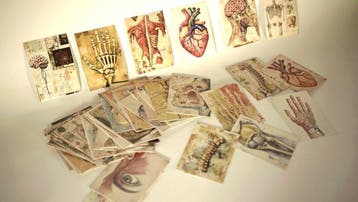 Anatomie - Ansichtkaart (60) - 2000-2000, Gelopen