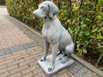 Engelse Jachthond ,Pointer,Weimaraner, Hoogte 73cm, Tuin en Terras, Tuinbeelden, Ophalen, Nieuw, Beton, Dierenbeeld