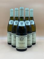 2024 Louis Jadot, Chablis - Chablis - 6 Fles (0,75 liter), Nieuw