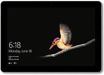 Microsoft Surface Go 10 256GB SSD [wifi + 4G] zilver, Computers en Software, Windows Tablets, Gebruikt, Verzenden, Microsoft Surface Go