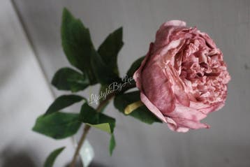 Brynxz zijden Pioenbloem dark pink 60 cm, Ophalen of Verzenden, Nieuw