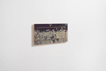 Ambivalenz - Malte Grieb - Stellingkast - Flapps Shelf