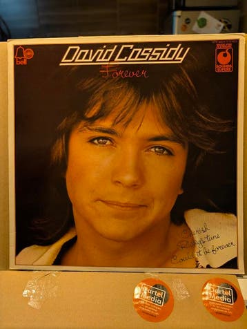David Cassidy - Forever, Ophalen of Verzenden, Gebruikt