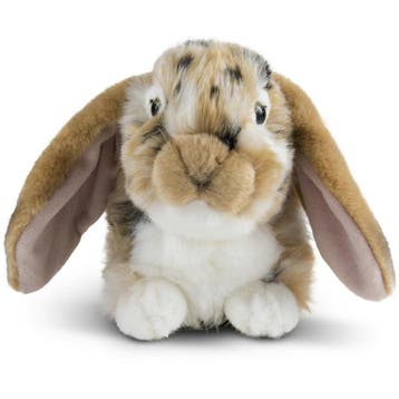 Pluche hangoor konijn knuffel - bruin/wit - 30 cm, Verzenden, Nieuw
