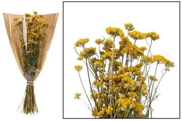 Lona Geel Droogbloem bundel, Ophalen of Verzenden, Nieuw