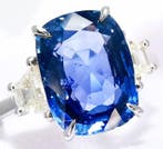 Ring - 18 karaat Witgoud, Saffier BURMA zonder, Nieuw