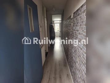 Ruim appartement in Utrecht zoekt plek in s-Hertogenbosch, Utrecht-stad