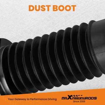 Adjustable Coilovers Absorber Springs Compatible for VW N..., Verzenden, Nieuw, Volkswagen