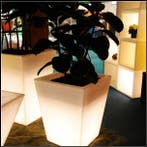 Oplaadbare Bloempot 55 cm LED RGB inclusief Afstandsbedienin, Kunststof, Minder dan 50 watt, Nieuw, Ophalen of Verzenden