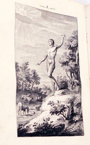 Alexander Pope - L’Uomo del Pope - 1788