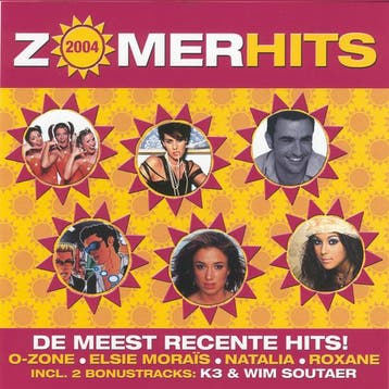 Various - ZomerHits 2004, Ophalen of Verzenden, Gebruikt