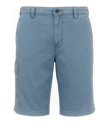 Dickies Korte broek in maat 33 Blauw, Dickies, Verzenden, Zo goed als nieuw, Blauw