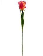 Parkiettulp Oranje Zijden 56 cm per stuk, Ophalen of Verzenden, Nieuw