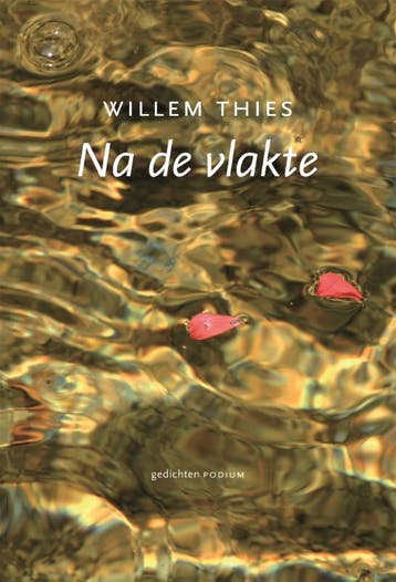 Na De Vlakte | W. Thies | Nieuw, Ophalen of Verzenden, Nieuw, W. Thies