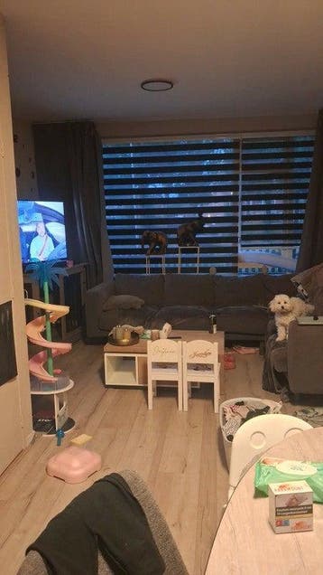 Te huur: Appartement Dahliastraat in Raalte, Overijssel, Raalte, Appartement